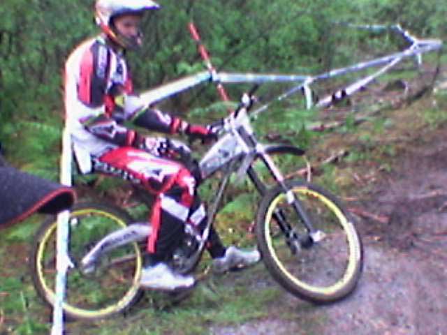 gregminnaar.jpg